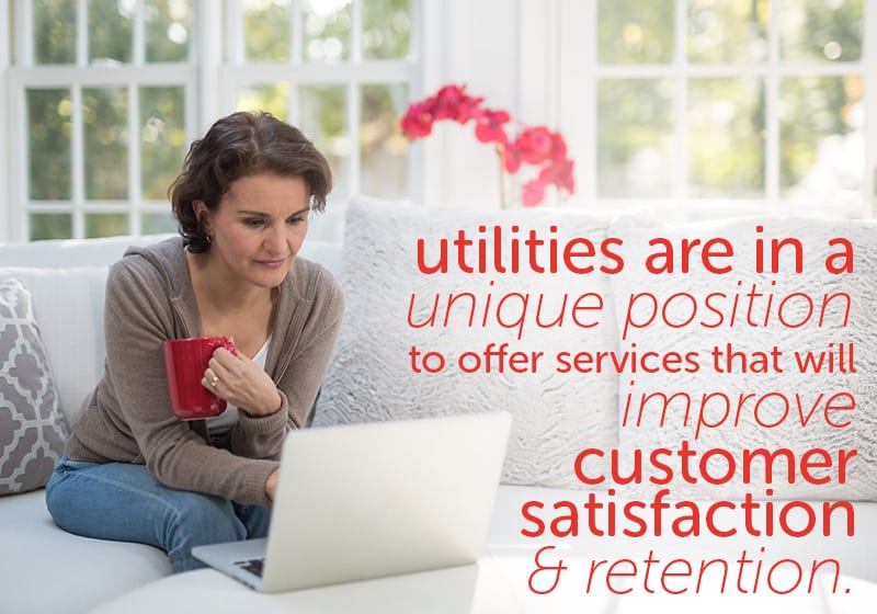 Utilities are offering value-added services to continue future sustainability.