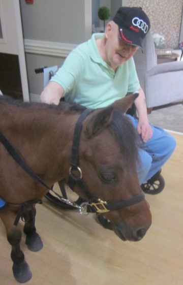 An equestrian center is dedicated to bringing peace and joy to veterans.