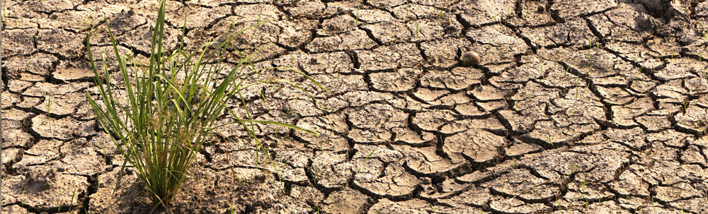 Water Conservation More Important than Ever During Drought