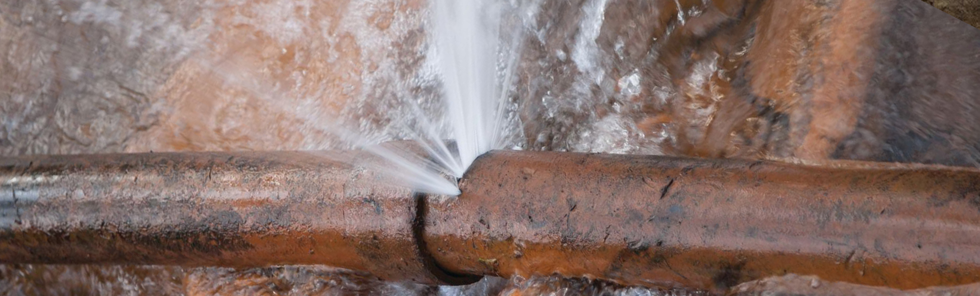 Broken Water Line Means Repair Costs, High Water Bill for Vulnerable Homeowner
