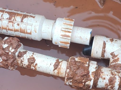 Water Service Line Preparation Pays Off for Maryland Homeowner
