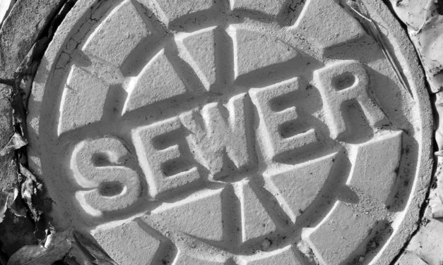 Illinois Resident Saves $4,400 on Root-Clogged Sewer Line