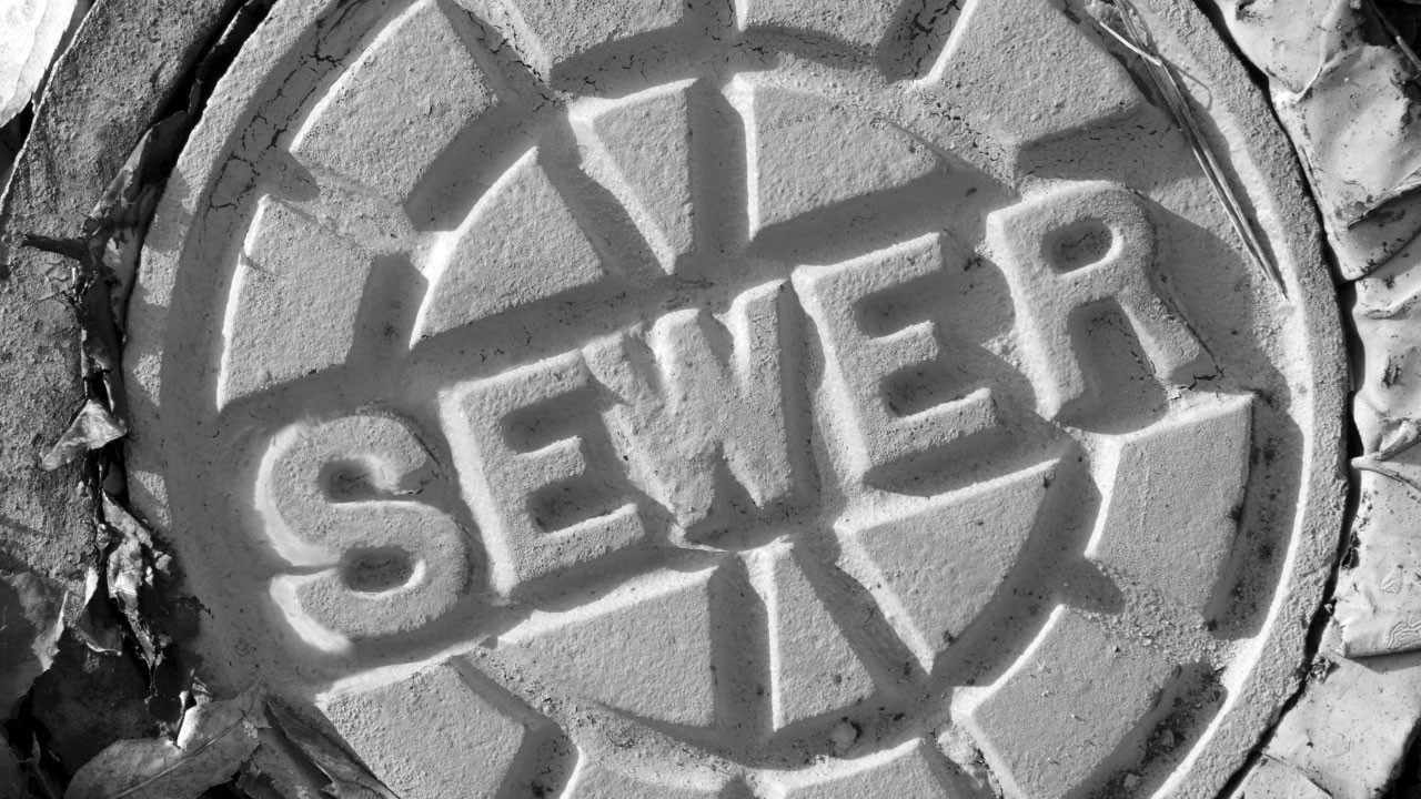 Illinois Resident Saves $4,400 on Root-Clogged Sewer Line