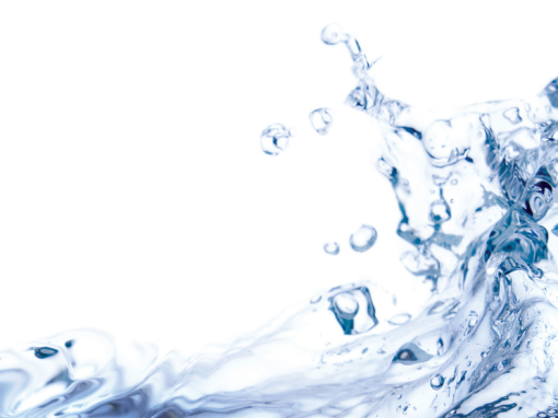 Case Study: Servline in Alabama