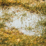 ServLine Helps Mount Sterling Customer Slash $500 Off Water Bill