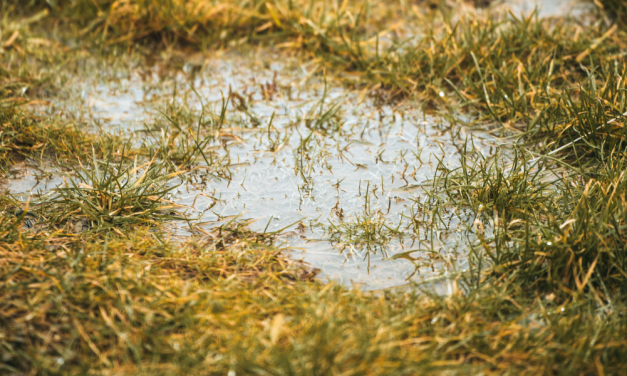 ServLine Helps Mount Sterling Customer Slash $500 Off Water Bill