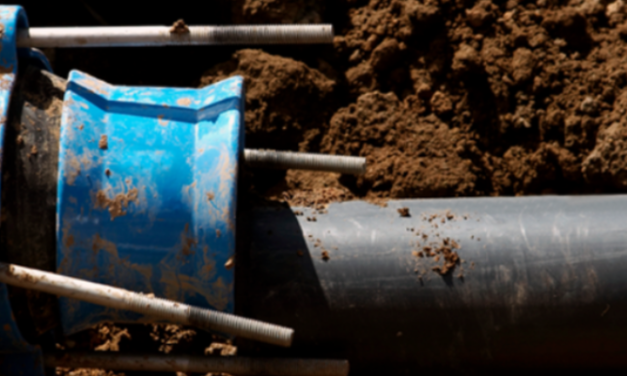 Maryland Homeowner Saves over $3,400 on Sewer Line Repair