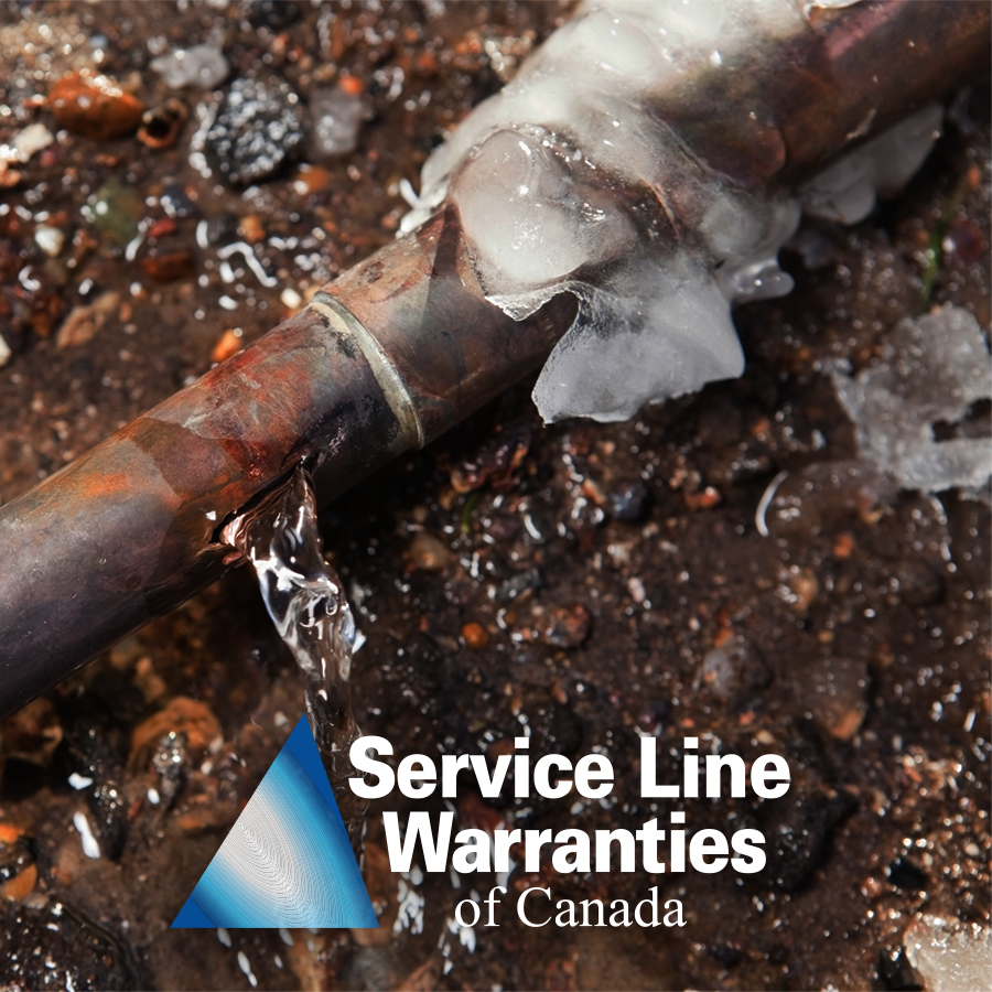 V1_wsl-a_BS_CAN_3598_Canada_Social_Graphics_1x1